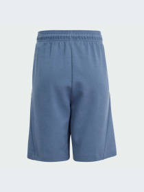 Шорти Adidas модель IS4418 Фото