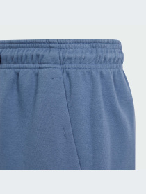 Шорти Adidas модель IS4418 Фото