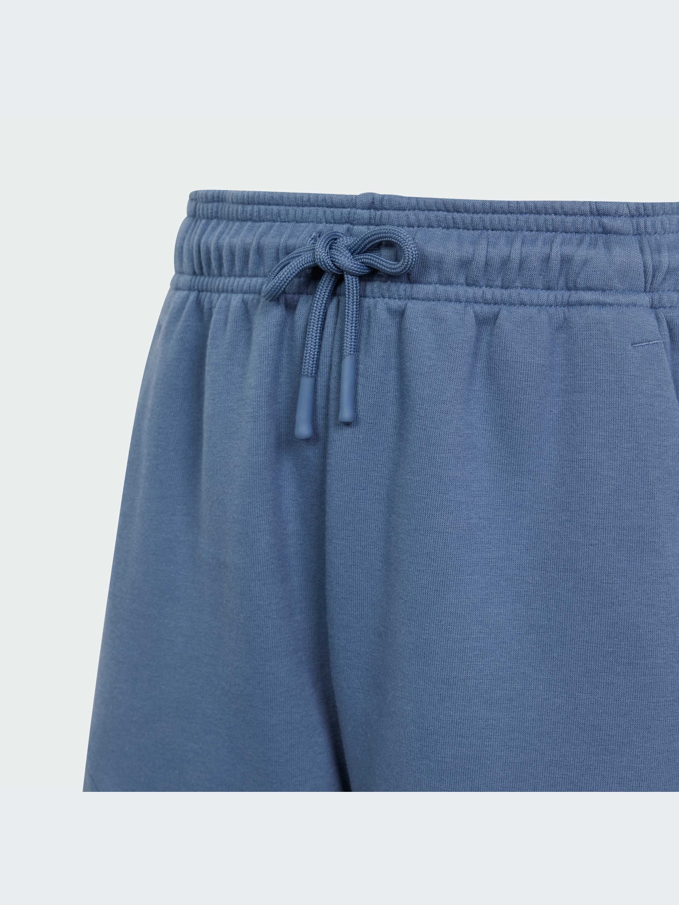 Повсякденні шорти Adidas модель IS4418 Фото