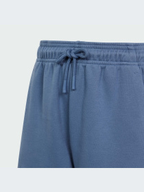 Повсякденні шорти Adidas модель IS4418 Фото