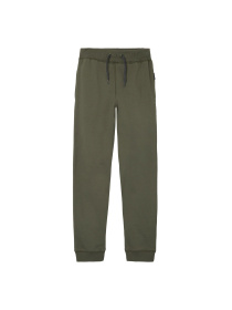 Штаны спортивные Name it модель 241.13153684.BEET Фото