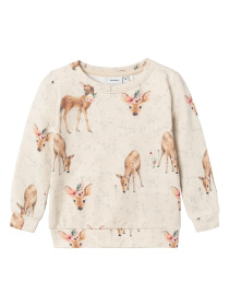 Свитшот Name it модель 241.13222652.PMEL Фото