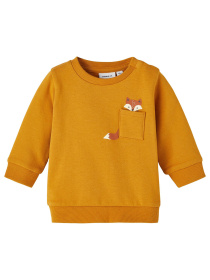 Свитшот Name it модель 241.13221403.IGOL Фото