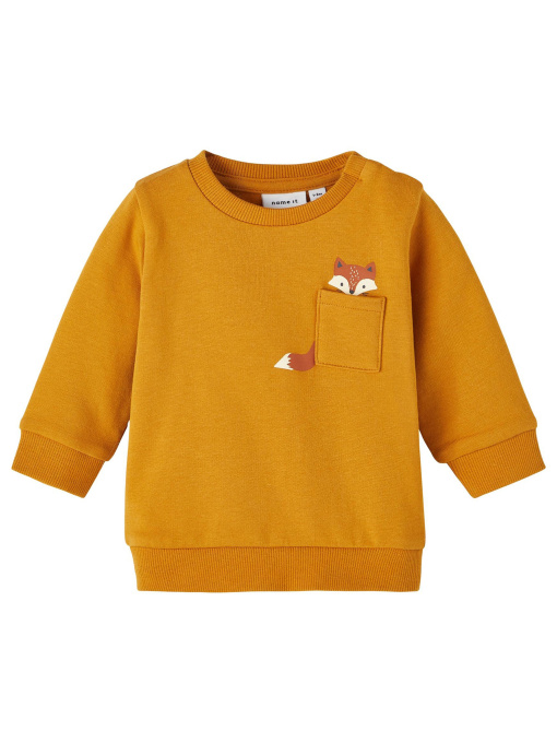 Свитшот Name it модель 241.13221403.IGOL Фото