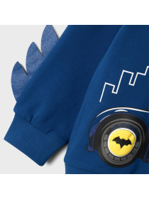 Свитшот Name it модель 241.13225934.SSAI Фото