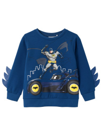 Свитшот Name it модель 241.13225934.SSAI Фото