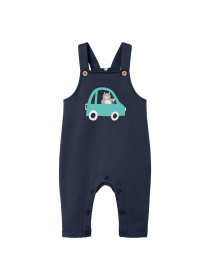 Комбінезон Name it модель 241.13226070.DSAP Фото