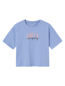 Футболка Name it модель 241.13225633.EEGG Фото