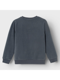 Світшот Name it модель 241.13225842.IINK Фото