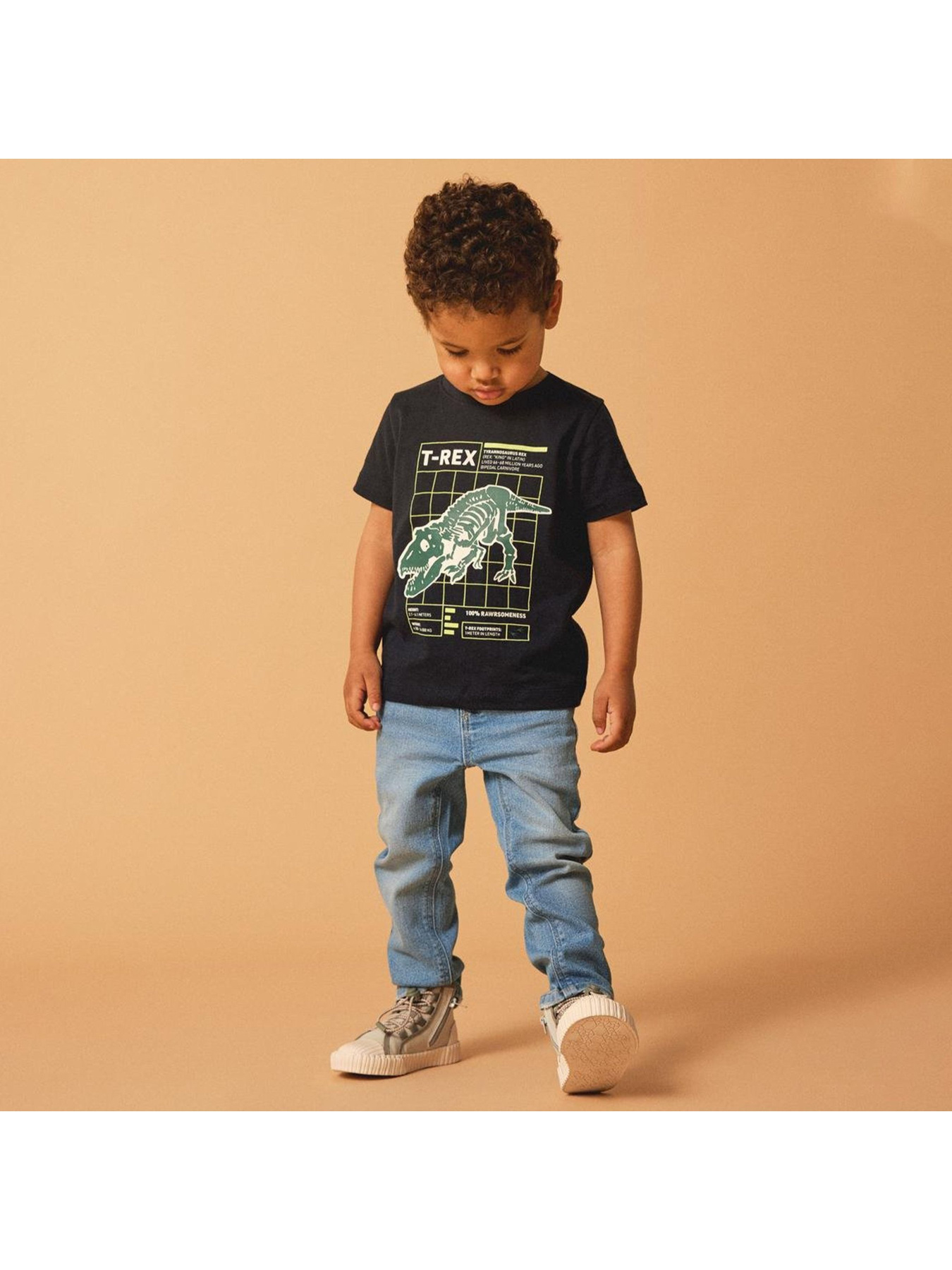 Футболка Name it модель 241.13226080.DSAP Фото