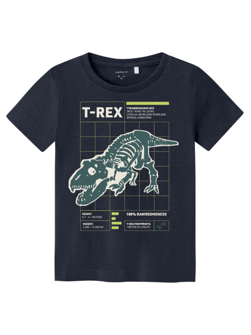 Футболка Name it модель 241.13226080.DSAP Фото