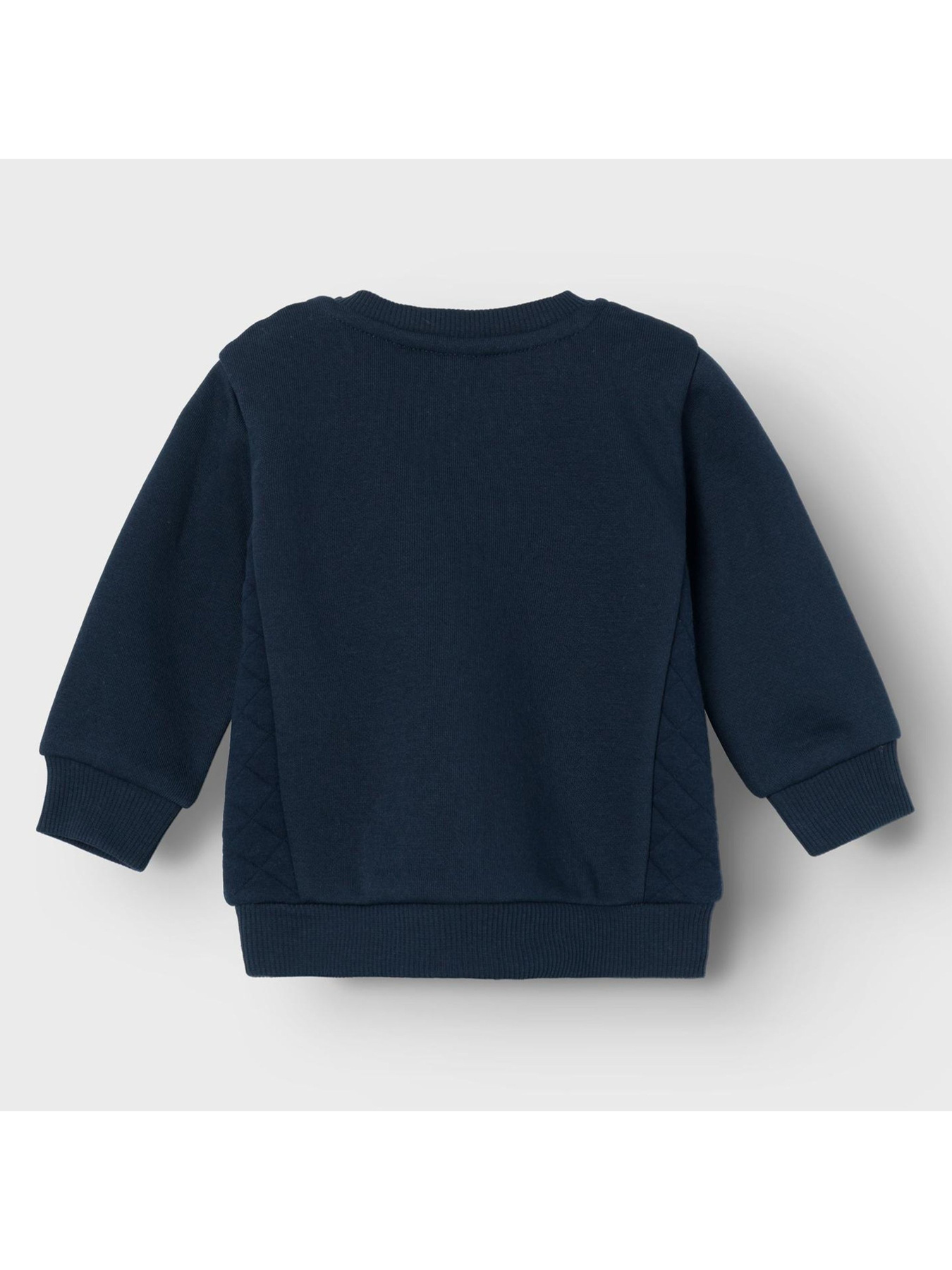 Свитшот Name it модель 241.13225715.DSAP Фото