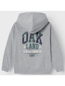 Кофта Name it модель 241.13226102.GMEL Фото