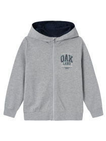 Кофта Name it модель 241.13226102.GMEL Фото