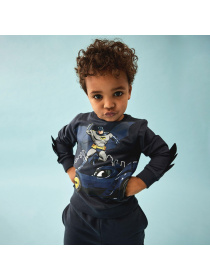 Світшот Name it модель 241.13225934.IINK Фото