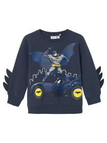 Світшот Name it модель 241.13225934.IINK Фото