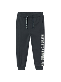 Штаны спортивные Name it модель 241.13226395.IINK Фото