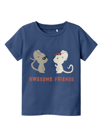 Футболка Name it модель 241.13226648.SSAI Фото