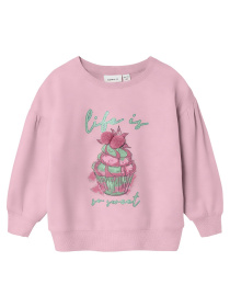 Свитшот Name it модель 241.13228235.PPIN Фото