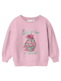 Свитшот Name it модель 241.13228235.PPIN Фото