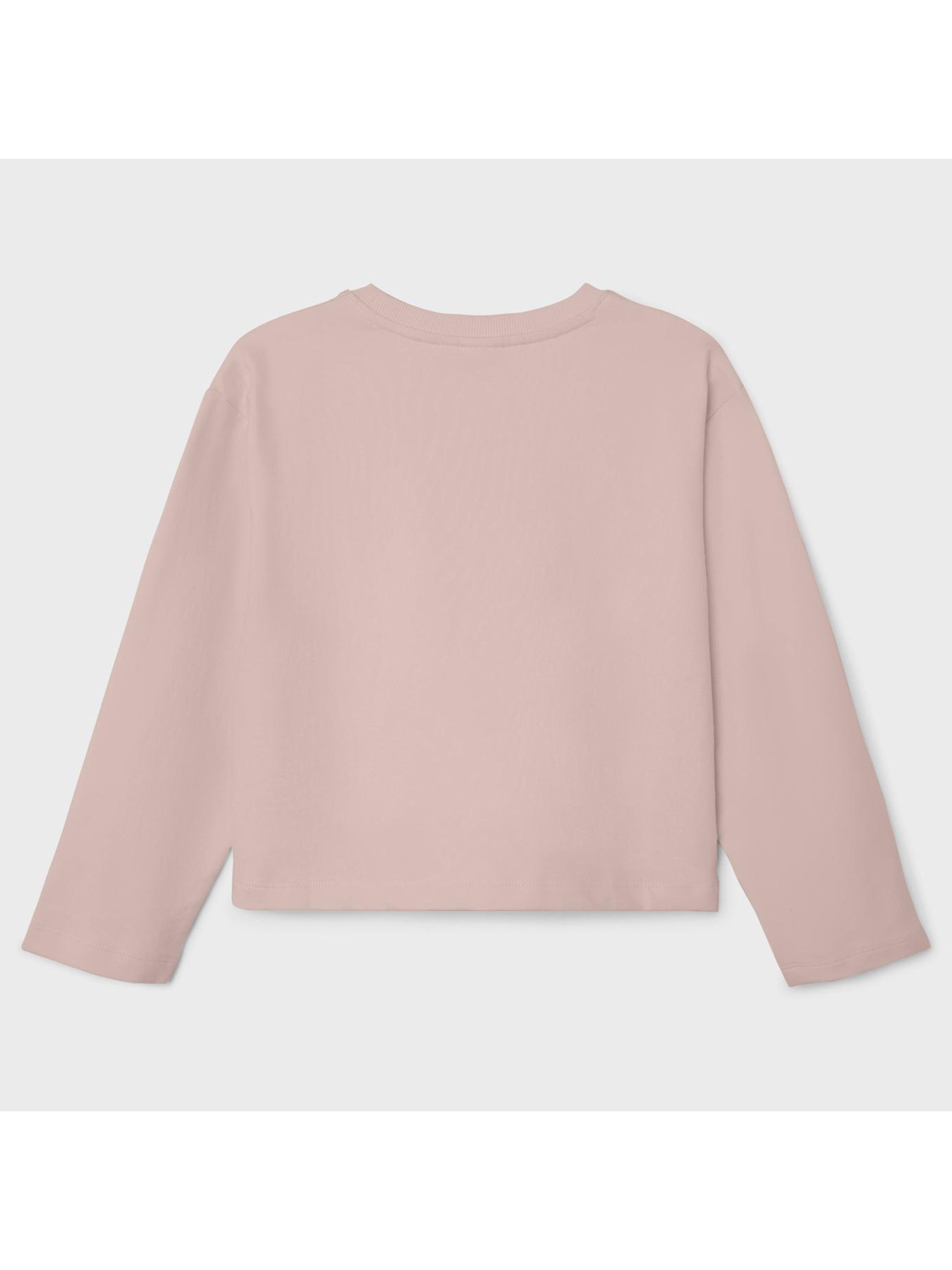 Свитшот Name it модель 241.13226179.SROS Фото