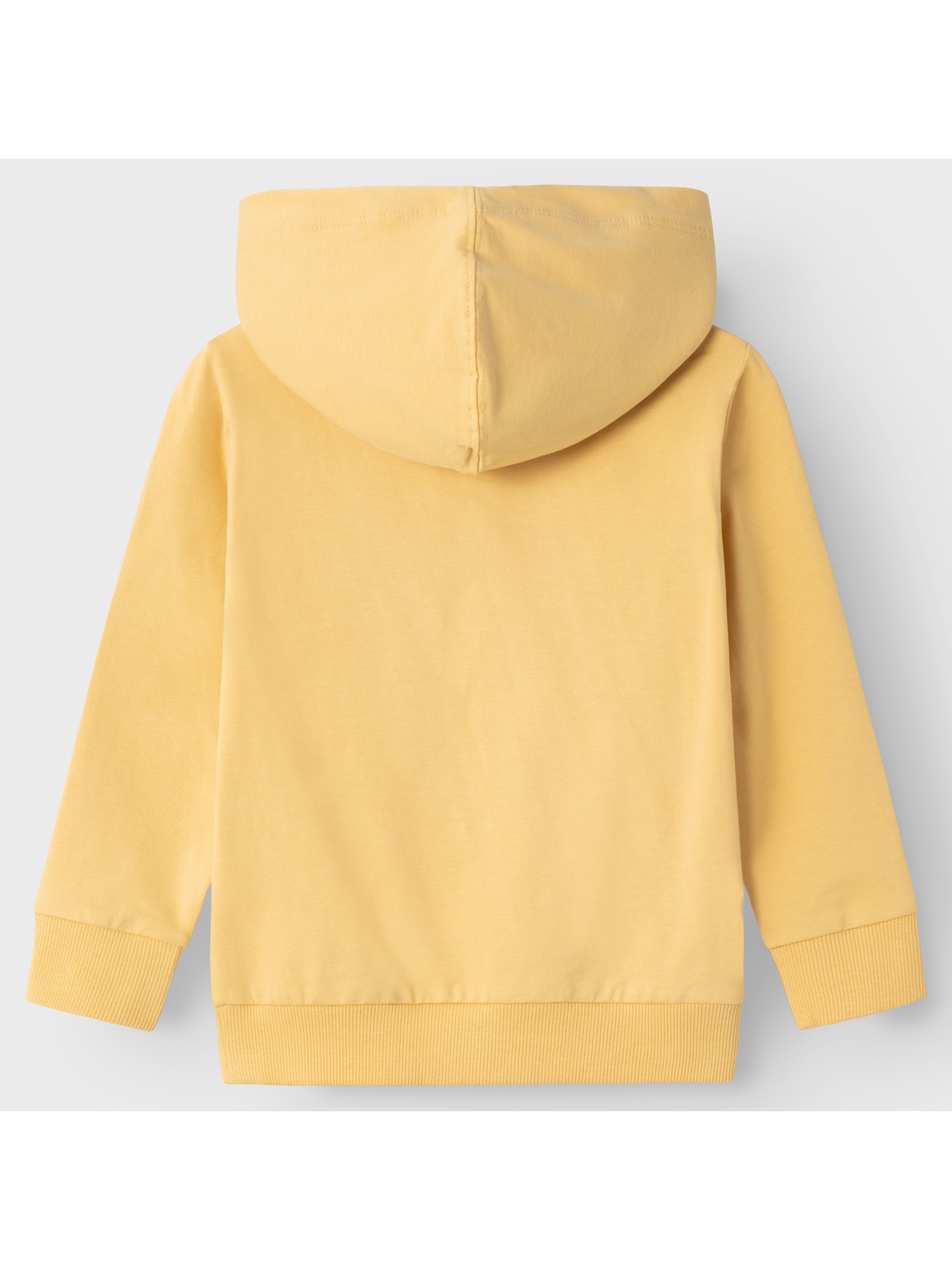 Худі Name it модель 241.13226388.RATT Фото