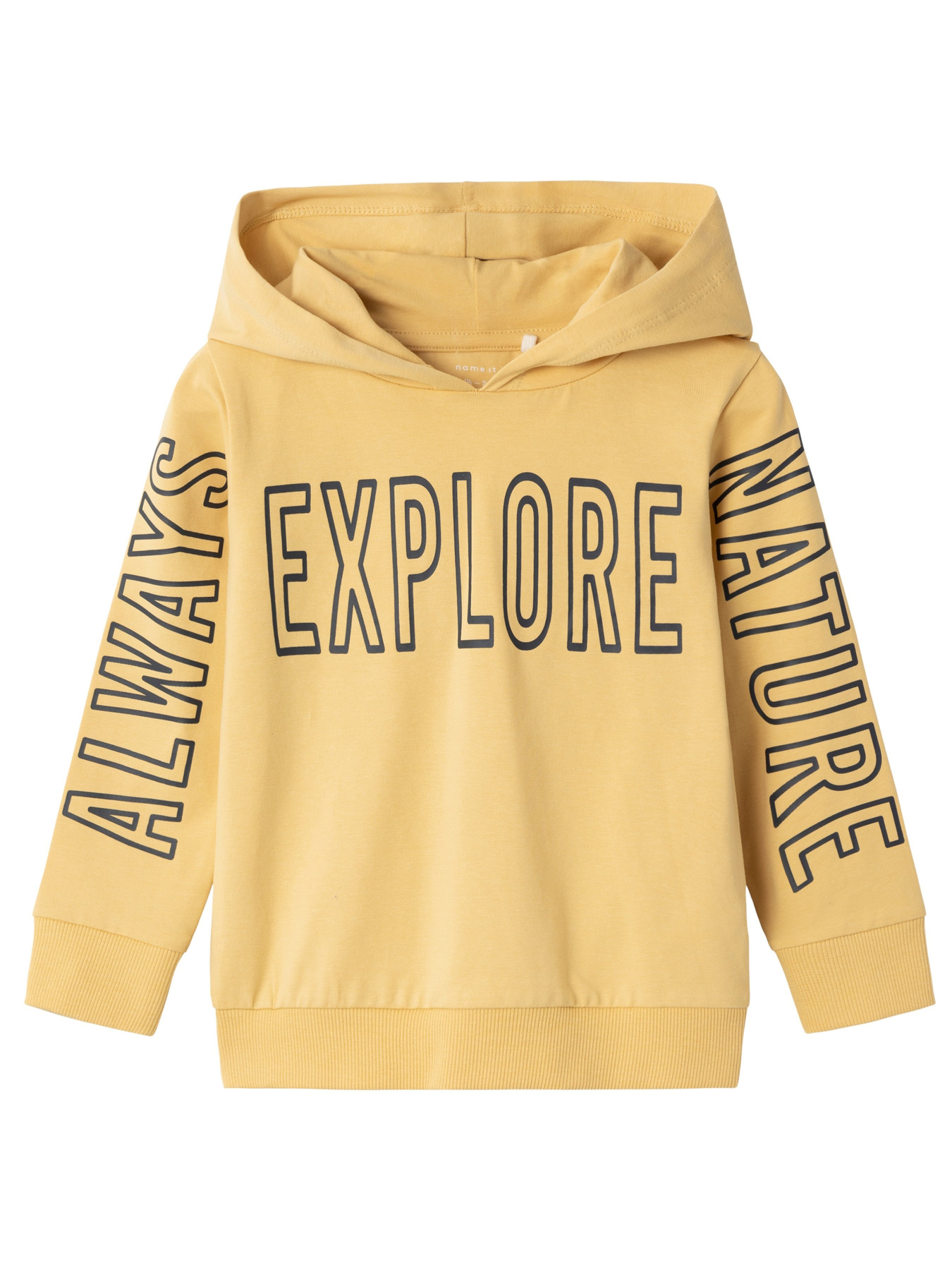 Худі Name it модель 241.13226388.RATT Фото