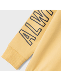 Худі Name it модель 241.13226388.RATT Фото