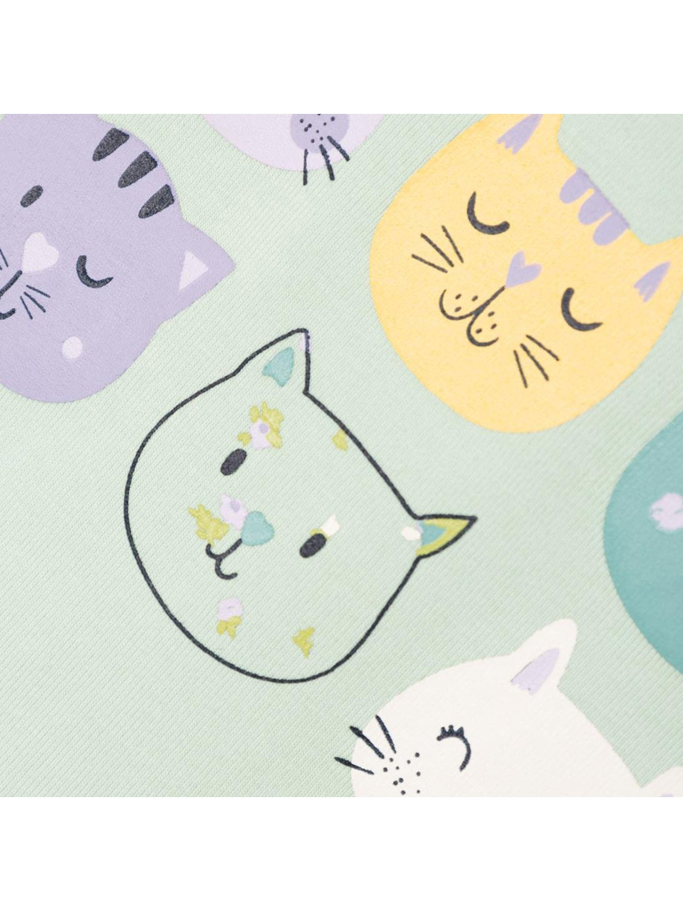 Свитшот Name it модель 241.13227906.SGRE Фото