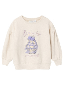 Світшот Name it модель 241.13228235.PMEL Фото