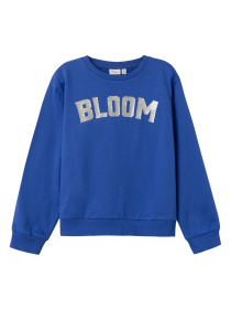 Світшот Name it модель 241.13228279.DBLU Фото