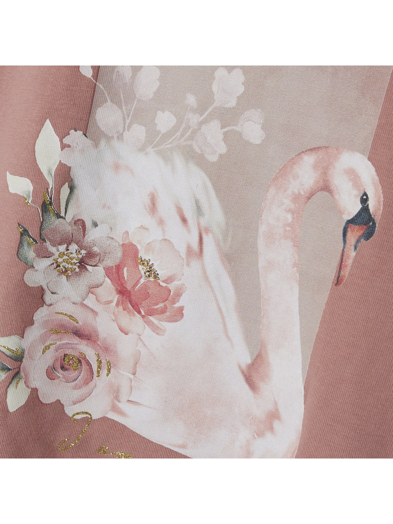 Лонгслів Name it модель 241.13226329.AROS Фото