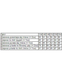 Спортивный костюм Носи своє модель 6173-025-blakitna-pudra Фото