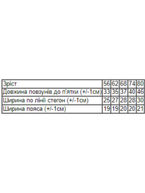 Повзунки Носи своє модель 5034-024-4-kosmo-dno Фото