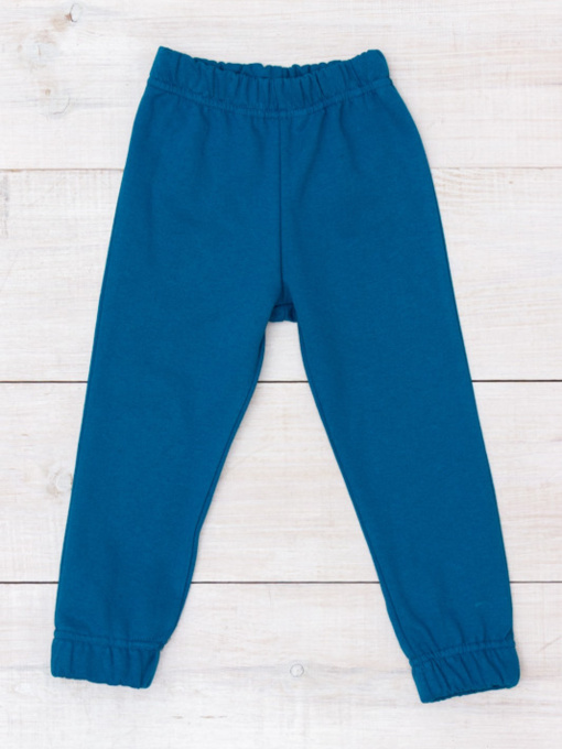 Джоггеры Носи своє модель 6155-023-4-temno-bryuzovij Фото