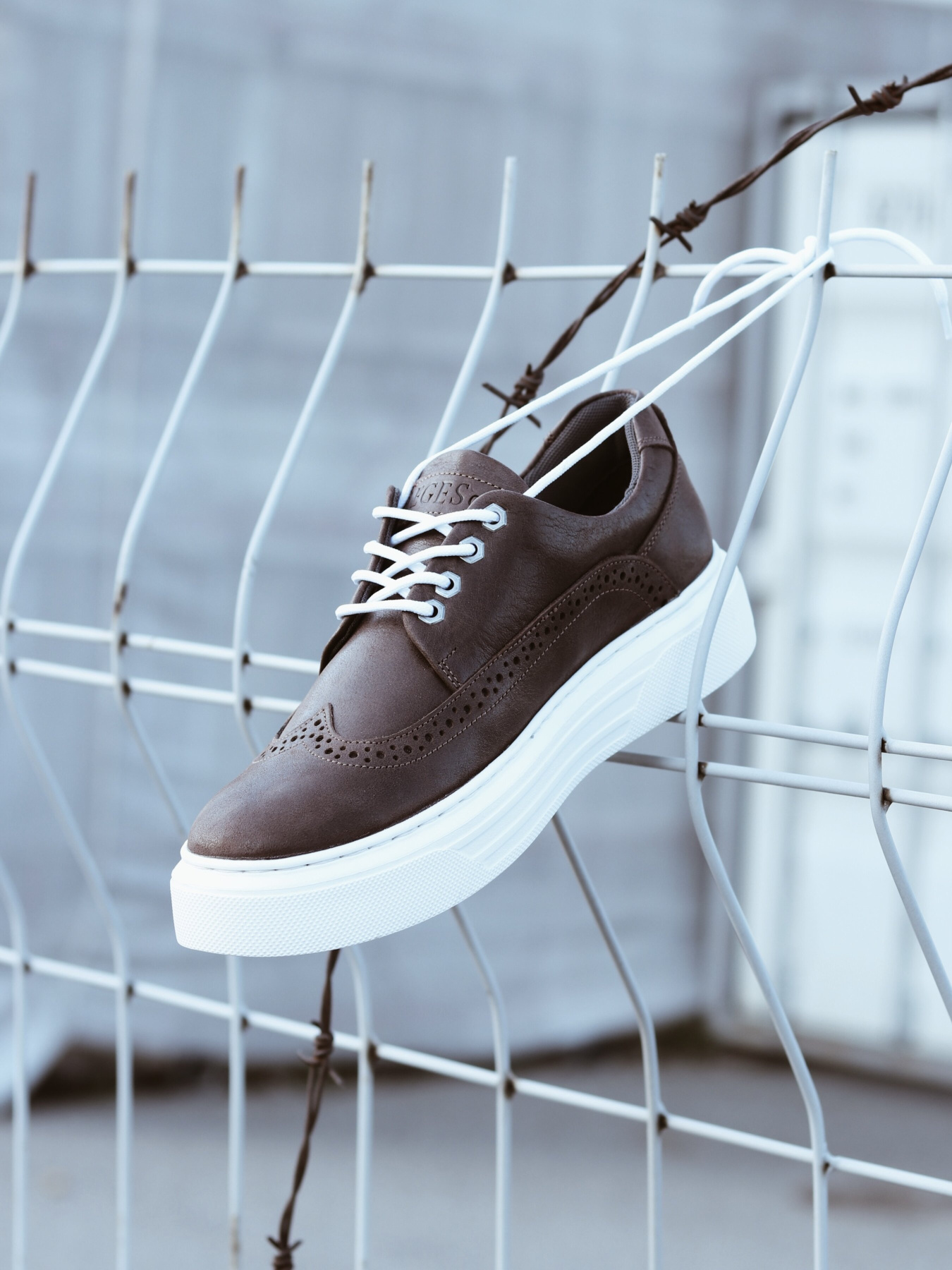 Броги Legessy модель STANLEY_COFFEE_MILK Фото