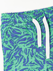 Шорти KRAKO модель НФ-00000974 Фото