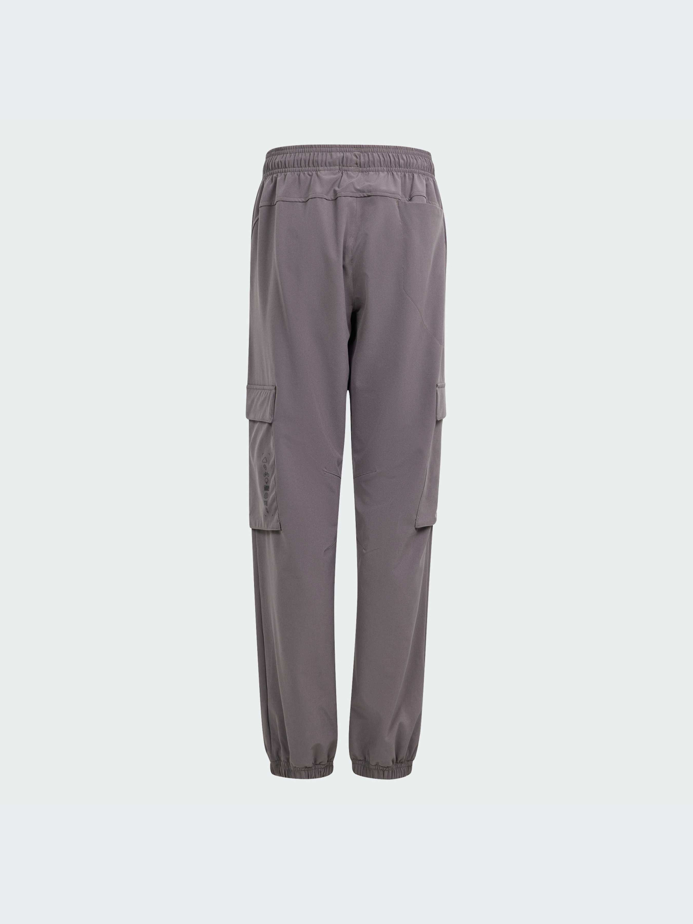 Карго Adidas модель IS3390 Фото