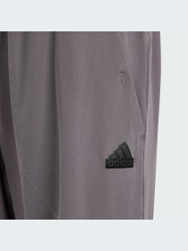 Карго Adidas модель IS3390 Фото