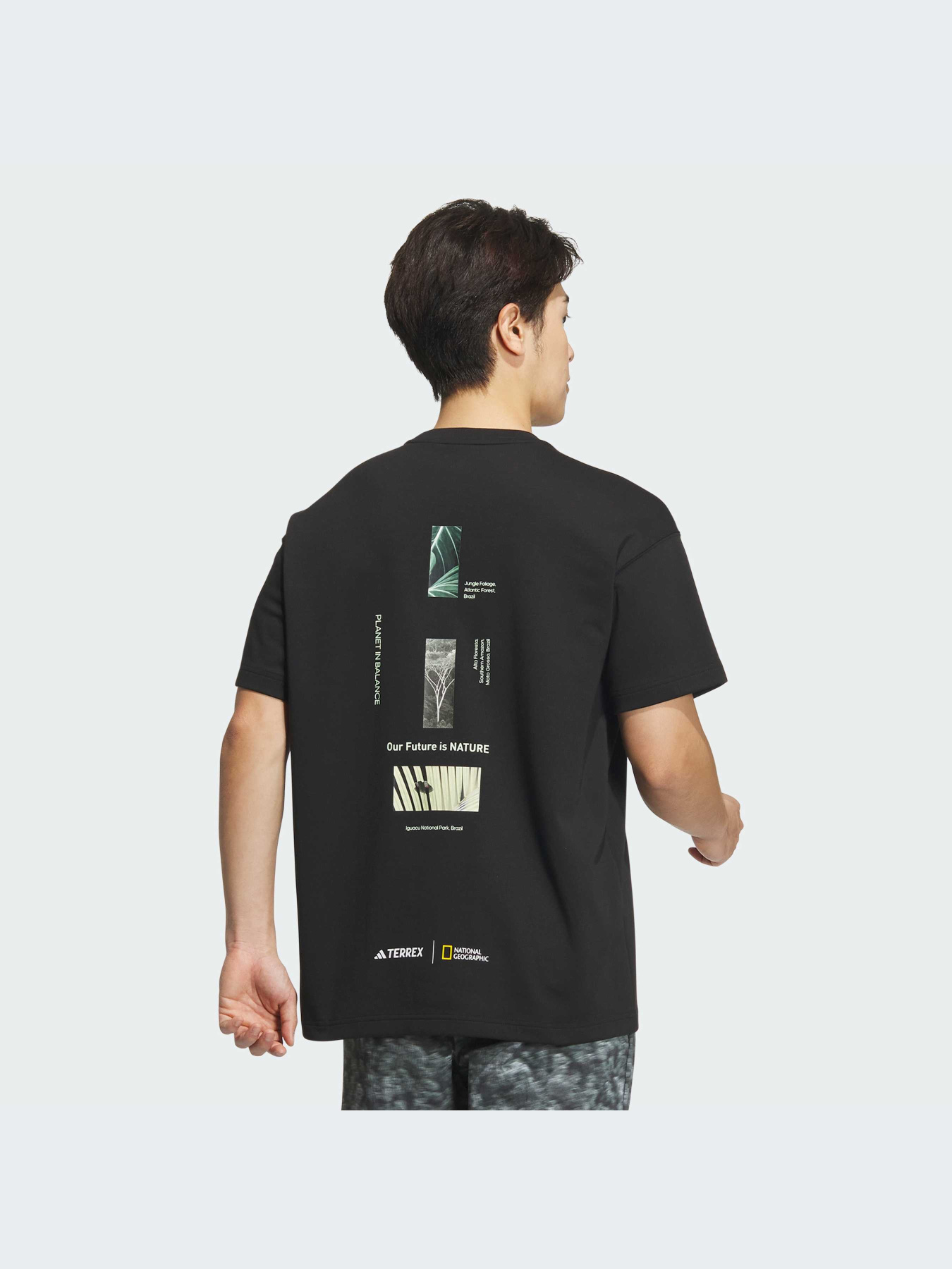 Спортивна футболка Adidas модель IS9515 Фото