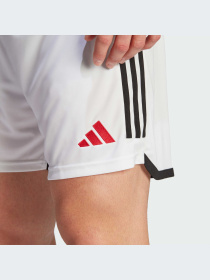 Шорты спортивные Adidas модель HR3678 Фото