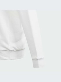 Худі Adidas модель IU3044 Фото