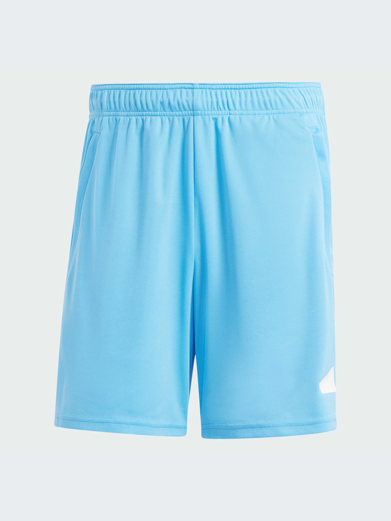 Шорты спортивные Adidas модель IT5421 Фото