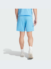 Шорты спортивные Adidas модель IT5421 Фото