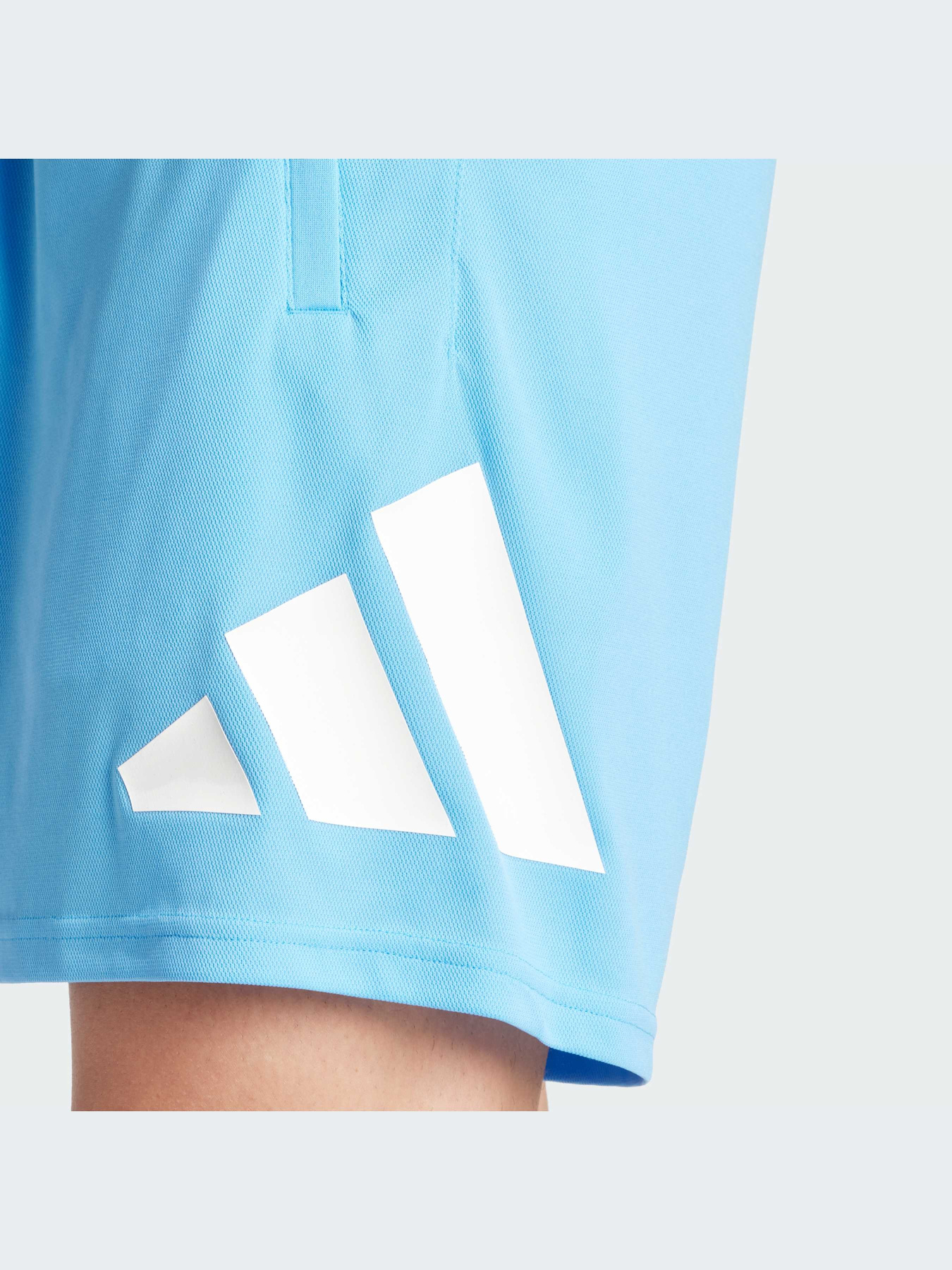 Шорты спортивные Adidas модель IT5421 Фото