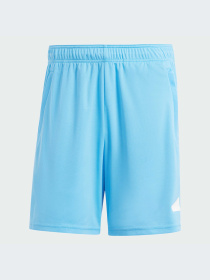 Шорты спортивные Adidas модель IT5421 Фото