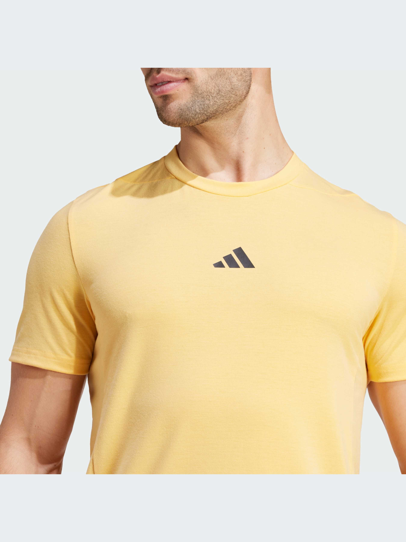 Футболка спортивная Adidas Clima модель IS3818 Фото