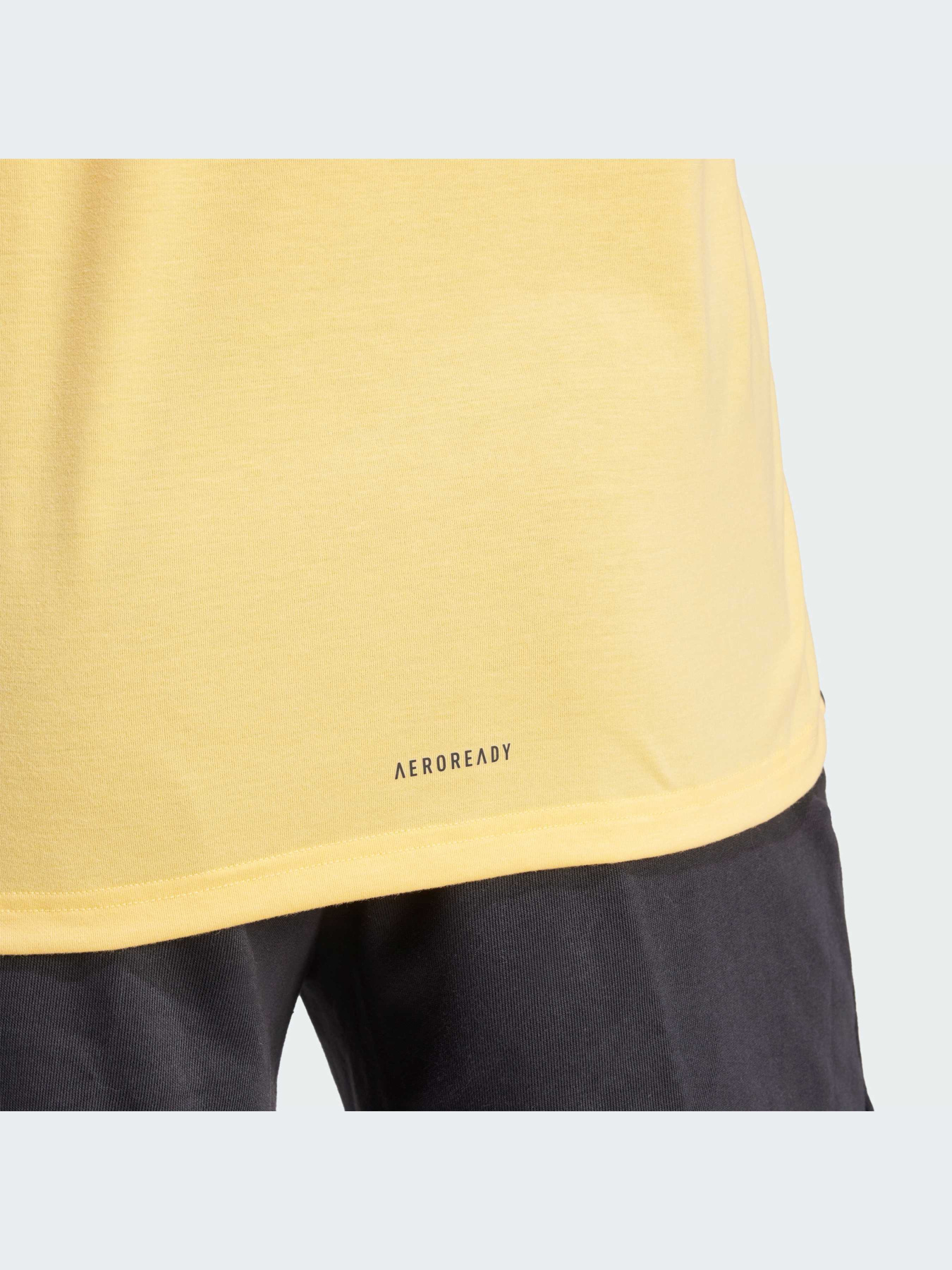 Футболка спортивная Adidas Clima модель IS3818 Фото