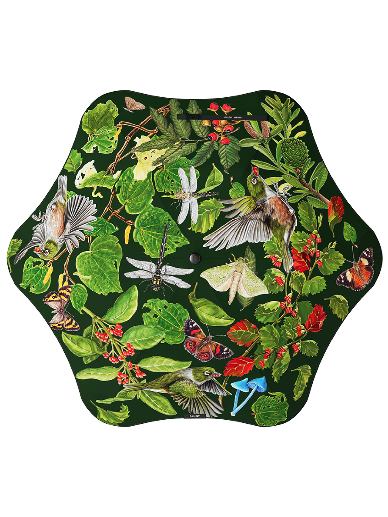 Парасолька Blunt модель 001019 Фото