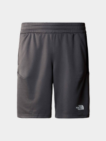 Шорты The North Face модель NF0A87J4WUO1 Фото